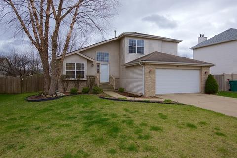5316 Sunmeadow Dr, Plainfield, IL 60586 photo 1