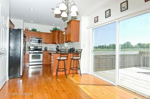7446 Alexandra Ln, Union, IL 60180 photo 3