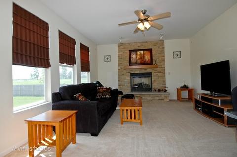 7446 Alexandra Ln, Union, IL 60180 photo 2
