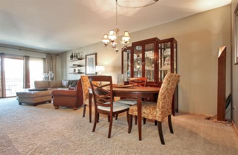 1675 Mill St #501, Des Plaines, IL 60016 photo 7