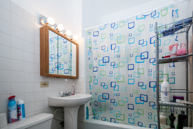 1241 Leon Pl, Evanston, IL 60201 photo 10