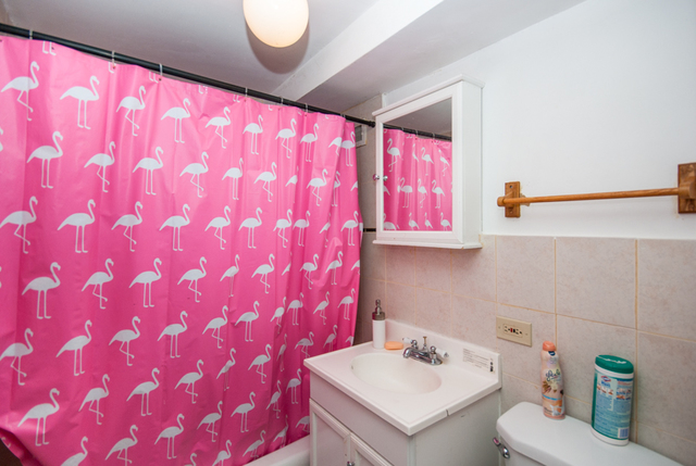 1241 Leon Pl, Evanston, IL 60201 photo 12