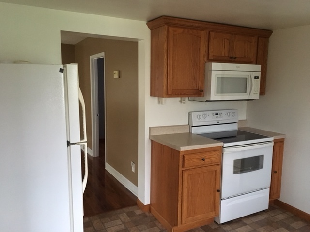 303 E Hennepin St, Mark, IL 61340 photo 4