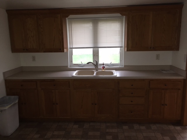 303 E Hennepin St, Mark, IL 61340 photo 5