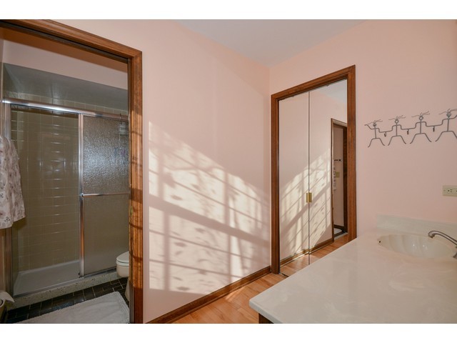 1307 Brighton Dr, Wheaton, IL 60189 photo 12