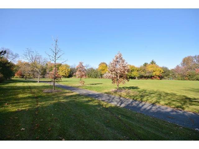 1307 Brighton Dr, Wheaton, IL 60189 photo 19