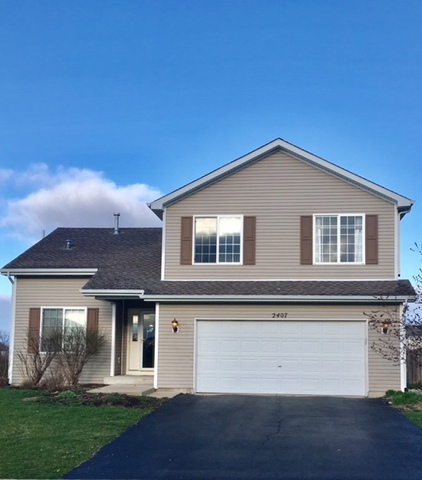 2407 White Ash Ct, Plainfield, IL 60586 photo 1