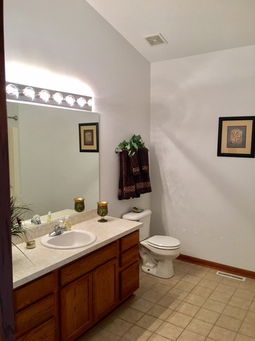 2407 White Ash Ct, Plainfield, IL 60586 photo 13