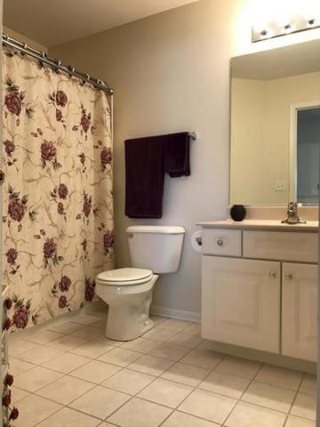 403 Gregory M Sears Dr, Gilberts, IL 60136 photo 18