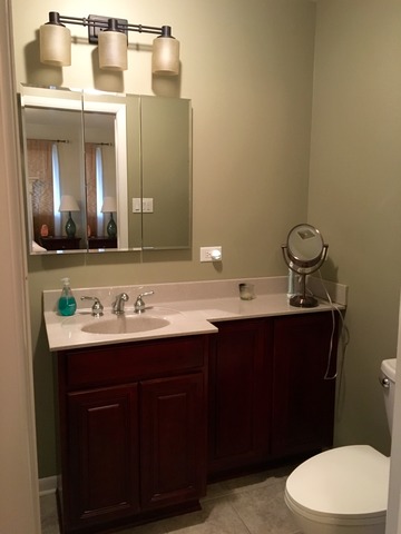 15409 Pine Dr, Oak Forest, IL 60452 photo 11