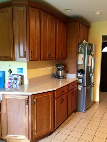 15409 Pine Dr, Oak Forest, IL 60452 photo 6