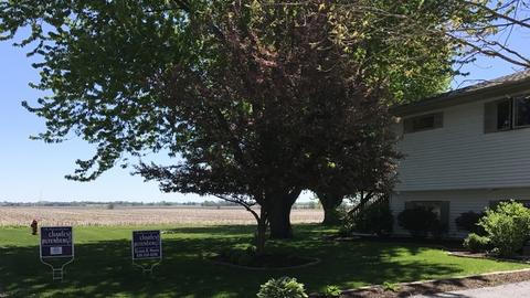 910 Willow St, Maple Park, IL 60151 photo 4