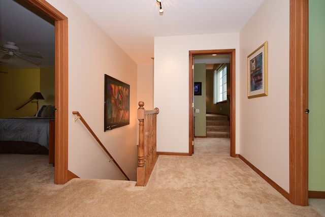 531 Rose Ln, Bartlett, IL 60103 photo 19