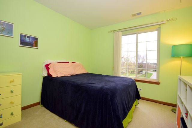 531 Rose Ln, Bartlett, IL 60103 photo 29