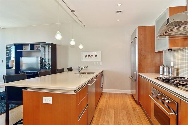 340 E Randolph St #5402, Chicago, IL 60601 photo 9