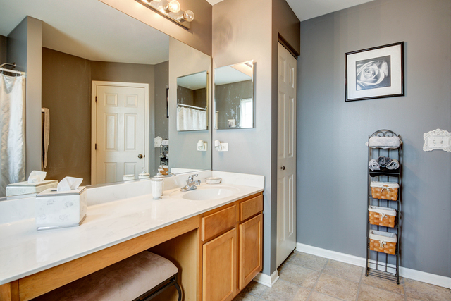 1424 Sedge Pass, Minooka, IL 60447 photo 22