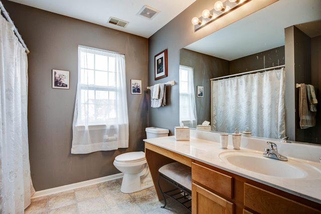 1424 Sedge Pass, Minooka, IL 60447 photo 21
