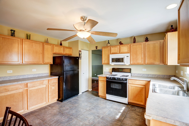 1424 Sedge Pass, Minooka, IL 60447 photo 4