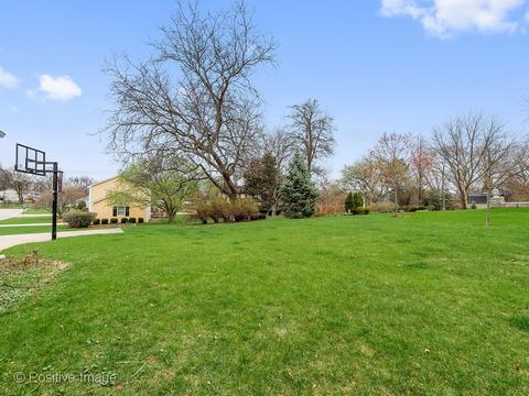 455 S Hickory Ave, Bartlett, IL 60103 photo 20