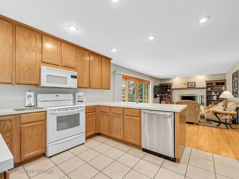 455 S Hickory Ave, Bartlett, IL 60103 photo 6