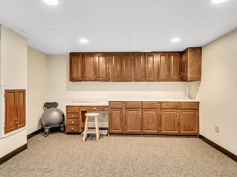 455 S Hickory Ave, Bartlett, IL 60103 photo 18