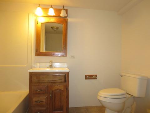 1828 Webster Ln, Des Plaines, IL 60018 photo 10