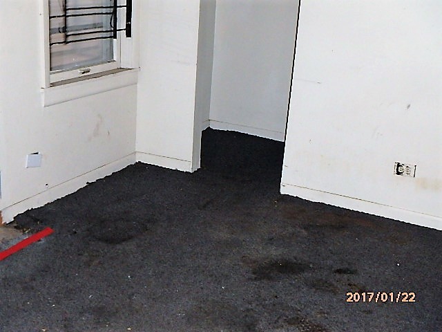 7331 S Evans Ave, Chicago, IL 60619 photo 9