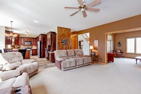 10513 Sharon Ln, Mokena, IL 60448 photo 10