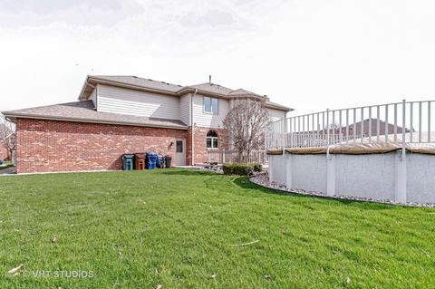 10513 Sharon Ln, Mokena, IL 60448 photo 24