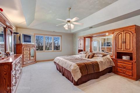 10513 Sharon Ln, Mokena, IL 60448 photo 13