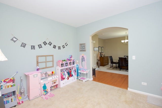 25216 Soldier Ct, Plainfield, IL 60544 photo 8