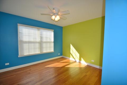 12731 Terrace Blvd, Plainfield, IL 60585 photo 12