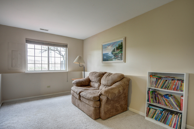 22909 Judith Dr, Plainfield, IL 60586 photo 20
