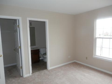13506 Rockefeller Cir, Plainfield, IL 60544 photo 17