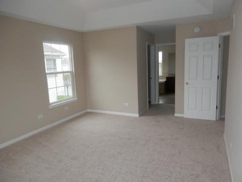 13506 Rockefeller Cir, Plainfield, IL 60544 photo 18