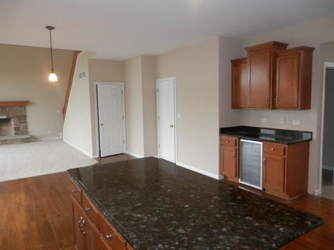 13506 Rockefeller Cir, Plainfield, IL 60544 photo 9