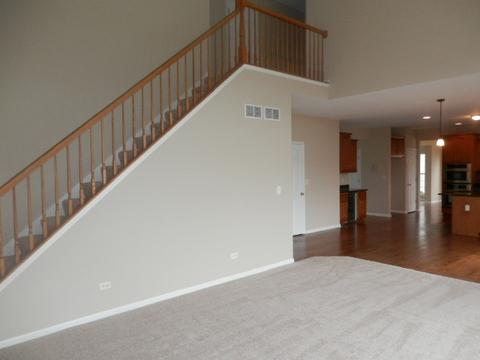13506 Rockefeller Cir, Plainfield, IL 60544 photo 11