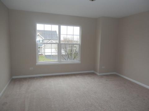 13506 Rockefeller Cir, Plainfield, IL 60544 photo 14