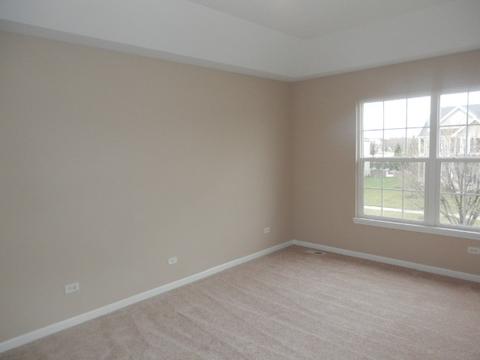 13506 Rockefeller Cir, Plainfield, IL 60544 photo 19