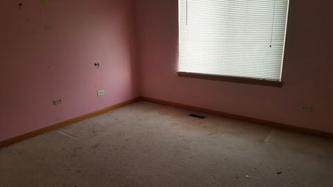 28944 Pilgrims Pass, Lakemoor, IL 60051 photo 13