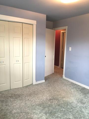 328 E Walnut St, Roselle, IL 60172 photo 19