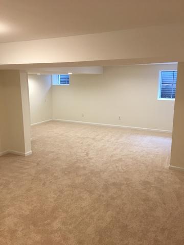 328 E Walnut St, Roselle, IL 60172 photo 7