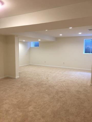 328 E Walnut St, Roselle, IL 60172 photo 8