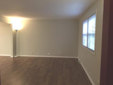 328 E Walnut St, Roselle, IL 60172 photo 4
