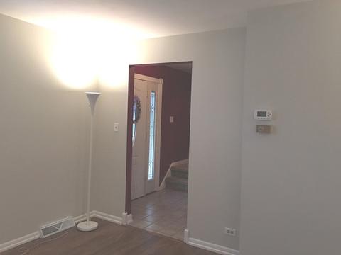 328 E Walnut St, Roselle, IL 60172 photo 3