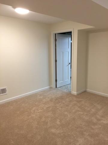 328 E Walnut St, Roselle, IL 60172 photo 10