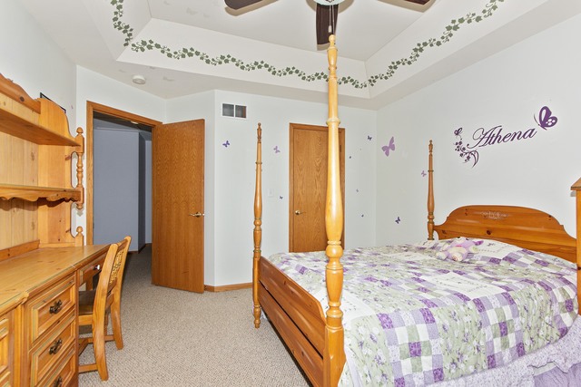 801 Casey Dr, Minooka, IL 60447 photo 15