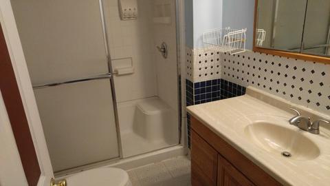 1050 Logan Ave, Elgin, IL 60120 photo 6
