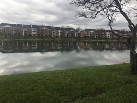 5500 Carriageway Dr #207C, Rolling Meadows, IL 60008 photo 5