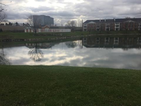 5500 Carriageway Dr #207C, Rolling Meadows, IL 60008 photo 2